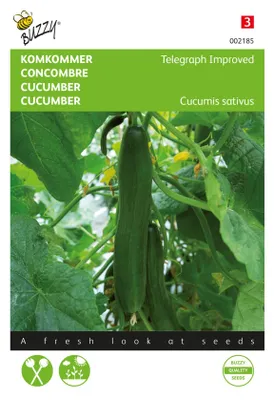 Zdjęcie produktu dla Ogórek polowy Telegraph Improved | Nasiona ogórka polowego od Buzzy Seeds