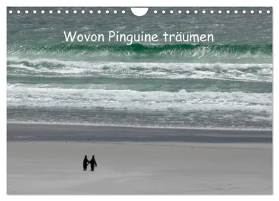 Produktbild von Wovon Pinguine träumen (Wandkalender 2027 DIN A4 quer), CALVENDO Monatskalender
