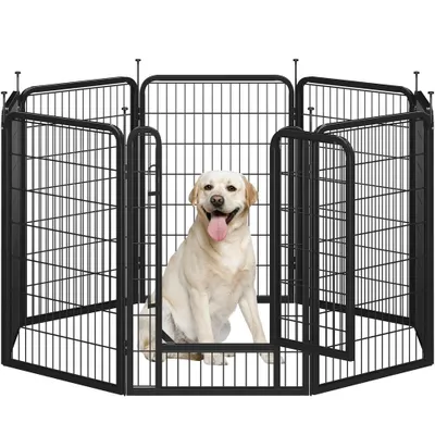 A yellow Labrador Retriever dog sits inside a black metal dog playpen.