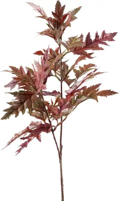 Produktbild von Fink BLÄTTERZWEIG, Kunstblume, Kunstfasern, dunkel rot, H. 70 cm 185009