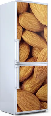 Produktbild von Magnete Dekorative - 70 cm x 190 cm - Küche - Magnetmatte Kühlschrankmagnete - Mandeln Nüsse