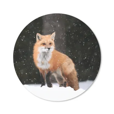 Produktbild von MuchoWow® Mauspad Mousepad Fuchs - Schnee - Winter 20x20 cm - Mousepads - Maus Mat - Pad - Mausunterlage - Schreibtischmatte