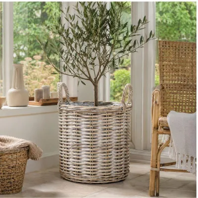 Produktbild von Natur Rattankorb BAKUL rund White Wash 30cm Pflanzkorb Inlay Griffe