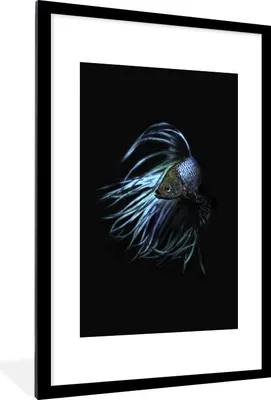 Produktbild von MuchoWow® Gerahmtes Poster Fische - Meerestiere - Blau - Schwarz 60x90 cm - Poster mit Schwarzem Bilderrahmen Wandposter Rahmen Foto Bilder - Dekoration - Wandposter Wohnzimmer - Hochwertig