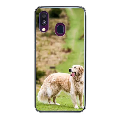 Produktbild von MuchoWow® Handyhülle Schutzhülle Hülle für Samsung Galaxy A40 Schönes Bild eines Golden Retrievers Silikon Softcase Handy Hülle - Handy-Tasche