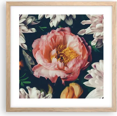 Produktbild von Gerahmtes Poster - Rahmen in heller Eiche - Blumen Pfingstrose Holzig - 40x40 cm - Wand Bild - Wanddeko - Wandbilder - Kunstposter - Wandposter - Bilderrahmen - Bilder - Kunstdruck - P2NAC40x40-4661