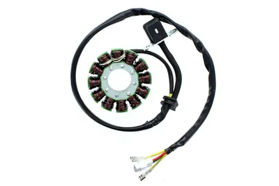 Immagine prodotto di Statore ElectroSport ESG169 per alternatore per Freeride 350 4T - 17 KW