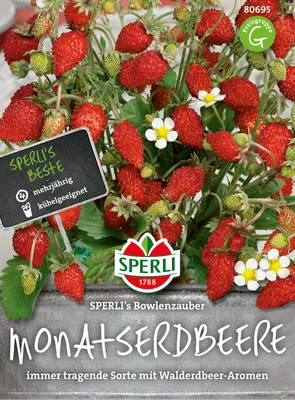 Produktbild von Monatserdbeere Bowlenzauber | Erdbeerenamen von Sperli
