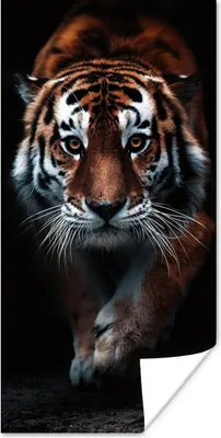 Produktbild von MuchoWow® Poster Tiere - Tiger - Schwarz - Wild - Porträt 20x40 cm - Plakat - Foto