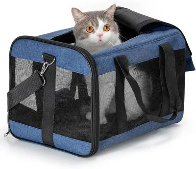 Produktbild von Famanu Transportbox für Hunde und Katzen - faltbar, blau, M