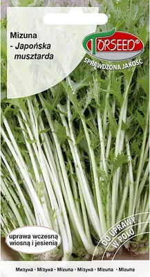 Produktbild von Mizuna-Samen, japanischer Senf 2g - Torseed
