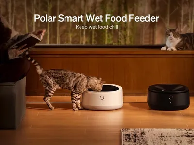 Produktbild von Petlibro Polar Nassfutterautomat Weiß