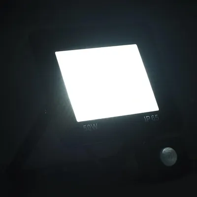 Immagine prodotto di vidaXL Proiettore LED con sensore 50 W bianco freddo