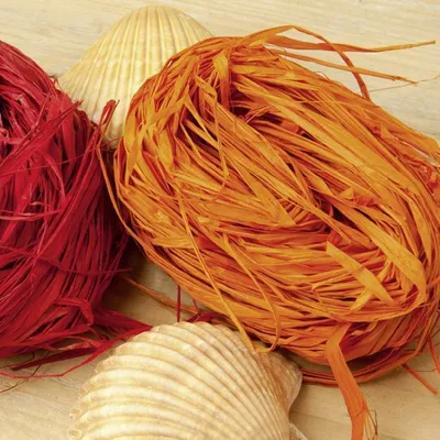 Produktbild von Bast orange 20 g
