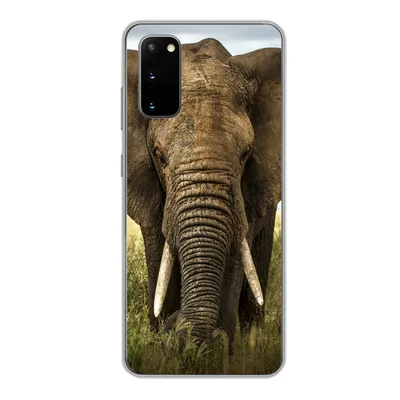Produktbild von MuchoWow® Handyhülle Schutzhülle Hülle für Samsung Galaxy S20 Elefant - Natur - Gras - Tiere - Landschaft Silikon Softcase Handy Hülle - Bild
