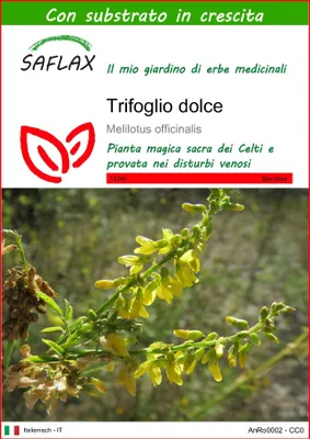 Immagine prodotto di SAFLAX  - Trifoglio dolce - 250 semi - Con substrato - Melilotus