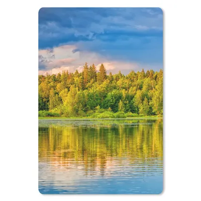 Produktbild von MuchoWow® Mauspad Mousepad Wasser - Natur - Wald 40x60 cm - Mousepads - Maus Mat - Pad - Mausunterlage - Schreibtisch Accesoire