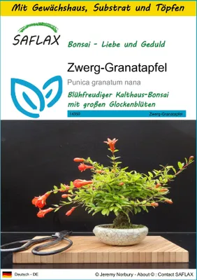Produktbild von SAFLAX Anzucht Set - Zwerg-Granatapfel - Punica granatum nana - 50 Samen - Mit Mini-Gewächshaus, Anzuchtsubstrat und 2 Töpfen