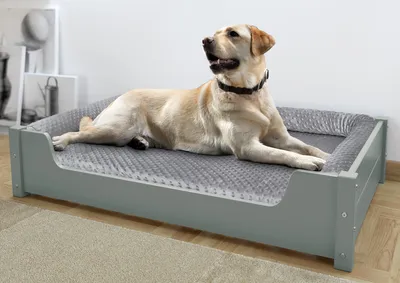 Produktbild von s Haustierbett, Tierbett 100x60 cm, Kiefer grau V-30.32-G-100x60Rollrost inkl.