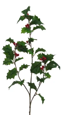 Produktbild von Künstlicher ILEXZWEIG ca 70cm. Christdorn, Stechpalmen-Zweig.