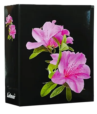 Immagine prodotto di VMC ALBUM per 304 foto 10x15 cm. senza descrizione FIORE NERO rosa