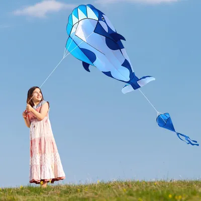 Productafbeelding van vlieger voor volwassenen, strandvlieger, opvouwbaar ontwerp, 215 x 125 cm (blauw en wit)