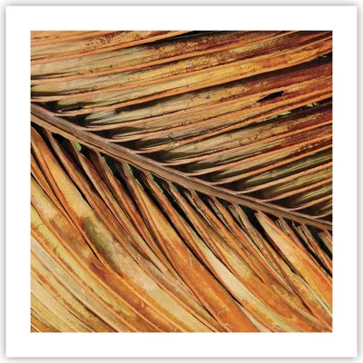 Produktbild von Poster - Poster ohne Rahmen - Orange Blatt Tropisch - 50x50 cm - Wand Bild - Wanddeko - Wandbilder - Kunstposter - Wandposter - Bilder - Kunstdruck - Wanddekoration - Wandbild - P2XAC50x50-4876