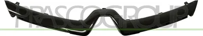 Produktbild von PRASCO Kühlergrill-Zierleiste RN3292216 für RENAULT Clio IV Schrägheck (BH) 0,60kg