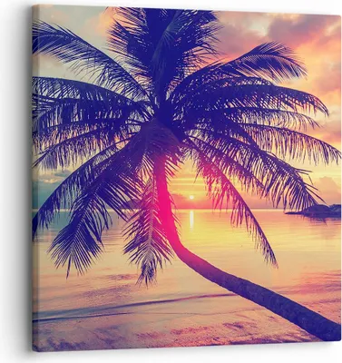 Produktbild von Bild auf Leinwand - Leinwandbild - Meer Strand Palme - 30x30cm - Wand Bild - Wanddeko - Wandbilder - Leinwanddruck - Bilder - Kunstdruck - Wanddekoration - Leinwand bilder - Wandkunst - AC30x30-3925