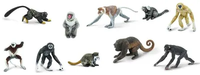 Image de Safari : les primates, 10 pièces, Toob junior