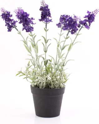 Produktbild von artplants.de Künstlicher Lavendel im Topf, dunkelviolett, 29cm - Kunstblume - Deko Blume