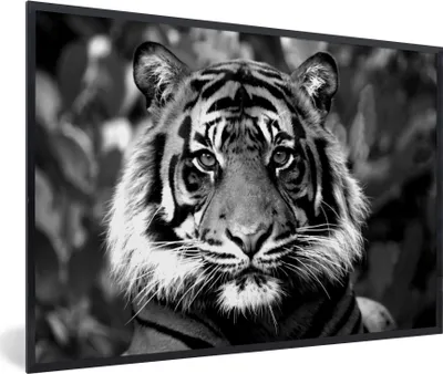 Produktbild von MuchoWow® MuchoWow® Gerahmtes Poster Tiger - Fell - Schwarz - Weiß 90x60 cm - Poster mit zchwarzem Bilderrahmen - Fotorahmen - Foto-Plakat