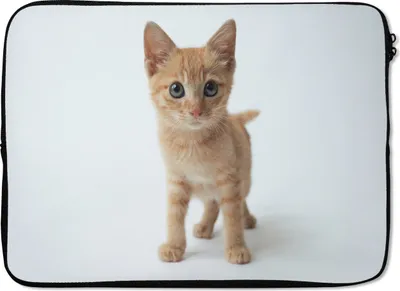 Produktbild von MuchoWow® Laptop Hülle 14 ZollKatze - Rot - Kätzchen - Mädchen - Kinder - Kinder - Kind Laptoptasche - Laptoptasche - Stoßsicher - Schutzhaube