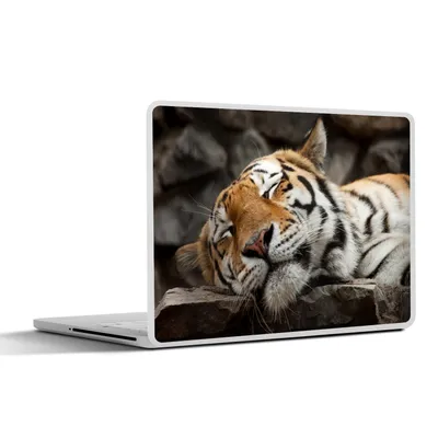 Produktbild von MuchoWow® Laptop Aufkleber Sticker Cover Tiger - Ruhend - Felsen 30x22 cm - Laptop-Sticker