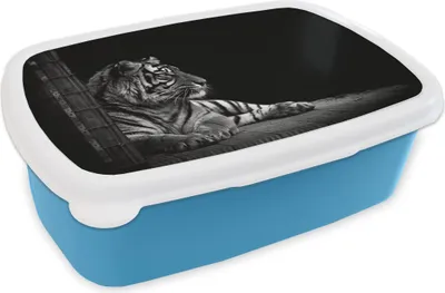 Produktbild von KitchenYeah® Lunchbox Brotzeit Brotdose 17x11 cm Tiger - Tiere - Schwarz - Weiß Kinder Brotzeitdose - Lunch - Kunststoff  - Brotbüchse - Sandwichbox - Lunchbox für Kinder