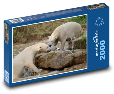 Zdjęcie produktu dla Puzzle 2000 Bawiące się niedźwiedzie polarne - martinpuzzle