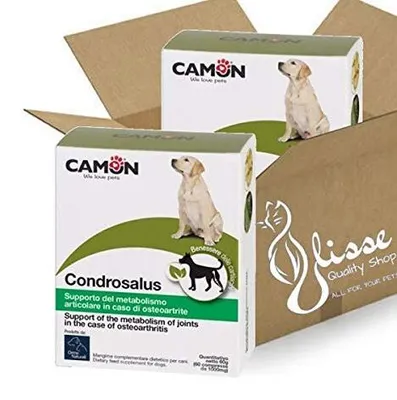 Productafbeelding van Dieetsupplement Chondrosalus 2x60 Tabletten