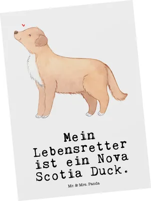 Produktbild von Mr. & Mrs. Panda Postkarte Nova Scotia Duck Lebensretter - Weiß - Geschenk, Grußkarte, Retriever, Ansichtskarte, bildkarte, Tolling, Postkarten, Ansichtskarten