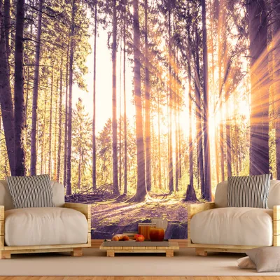 Produktbild von Basera Selbstklebende Fototapete Waldmotiv c-B-0098-a-d, mit UV-Schutz, 343x245 cm