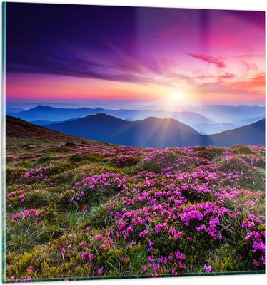 Produktbild von Bilder auf glas - Wiese Berg Himmel Landschaft - 60x60cm - Glasbilder - Wandbilder - Kunstdruck - zum Aufhängen bereit - Wanddekoration aus Glas - Glas Bilder - Wandbild auf Glas - GAC60x60-2719