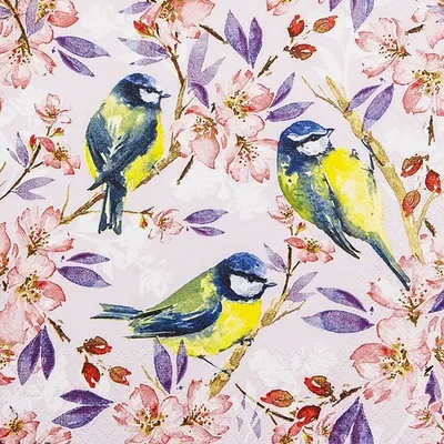 Obrázek produktu pro HOME F. 212306 Obědové ubrousky Flora - 33 x 33 cm, 20 kusů