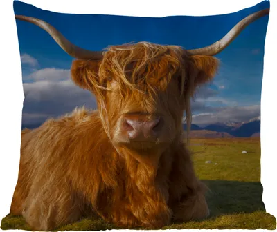 Produktbild von MuchoWow® Outdoor Kissen - Schottische Hochlandrind - Tiere - Gras - 45x45 cm - Wetterfest - Lounge Kissen - Fotokissen - Dekoratives Kissen
