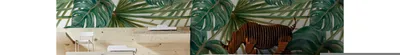 Produktbild von Coloray Fototapete 290x290 cm Latextapete Magicstick - Pflanzen Dschungel große Blätter