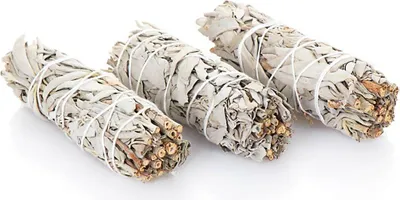 Produktbild von 3x L Weißer Salbei Smudge Sticks 10cm 4" Salvia Apaina 30g Räucherbündel 6724