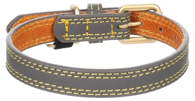 Image de Collier pour chien Virginia en cuir