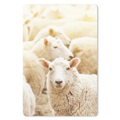 Produktbild von MuchoWow® Mauspad Mousepad Schaf - Wolle - Weiß 18x27 cm - Mousepads - Maus Mat - Pad - Mausunterlage