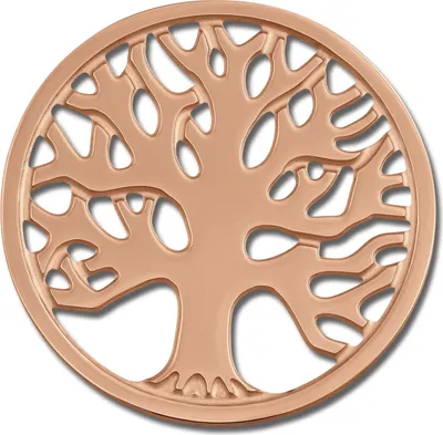 Produktbild von Amello Coins rose 30 mm Einleger Edelstahl vergoldet Lebensbaum Damen ESC502E