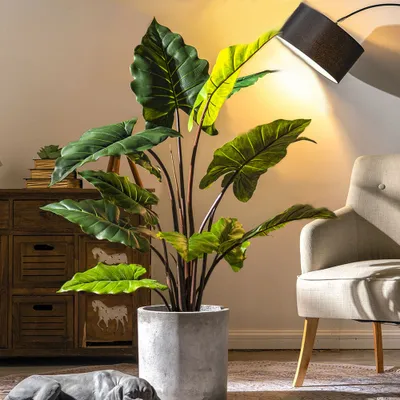 Produktbild von 360Home Taro gefälschte pflanze getopft indoor kunstpflanze künstliche Pflanze 80cm