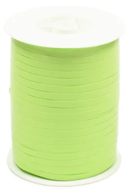 Image de Ruban cadeau Ring 5mm x 500m rouleau vert clair