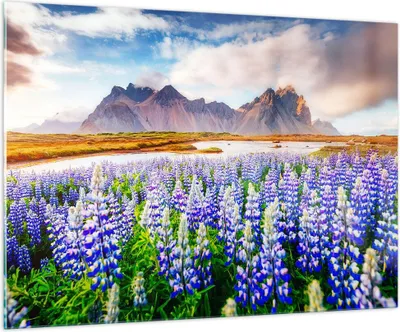 Produktbild von Bilder auf glas - Berge Wiese Blumen - 100x70cm - Glasbilder - Wandbilder - Kunstdruck - zum Aufhängen bereit - Wanddekoration aus Glas - Glas Bilder - Wandbild auf Glas - Einteilig - GAA100x70-4114